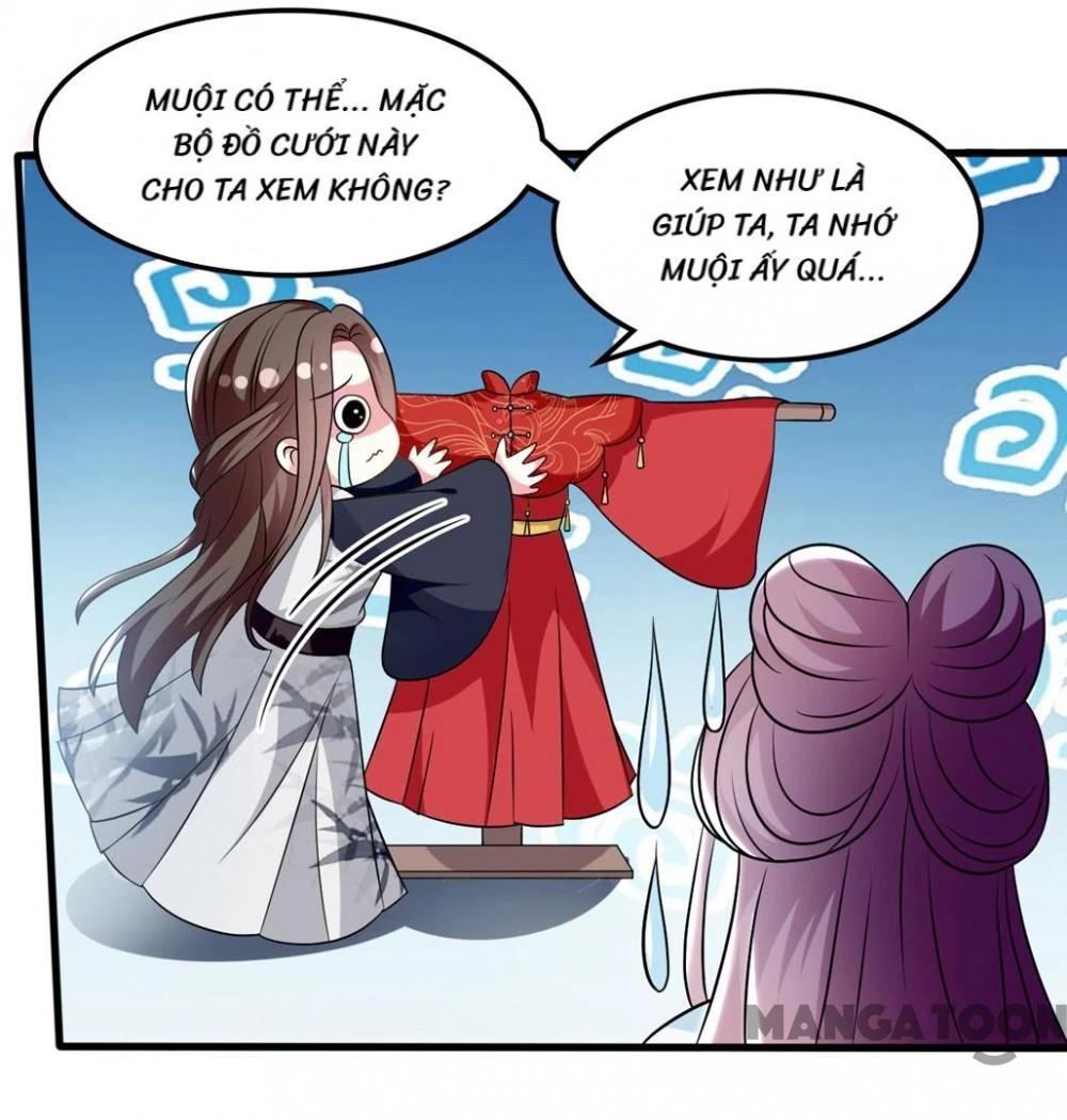 Phúc Hắc Vương Gia Đừng Làm Loạn Chapter 177 - 27