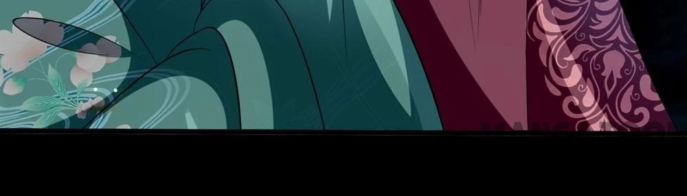 Phúc Hắc Vương Gia Đừng Làm Loạn Chapter 199 - 16