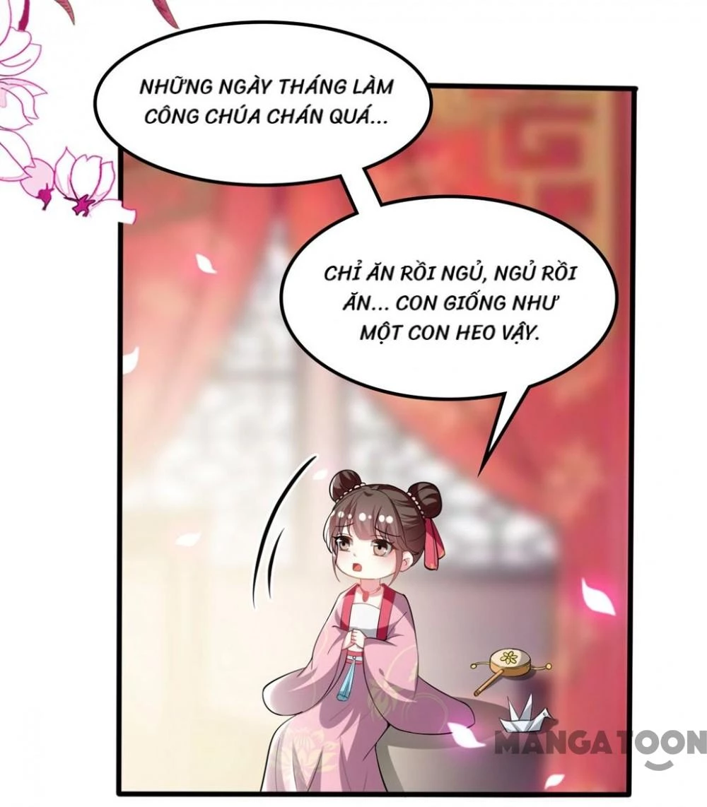 Phúc Hắc Vương Gia Đừng Làm Loạn Chapter 202 - 31