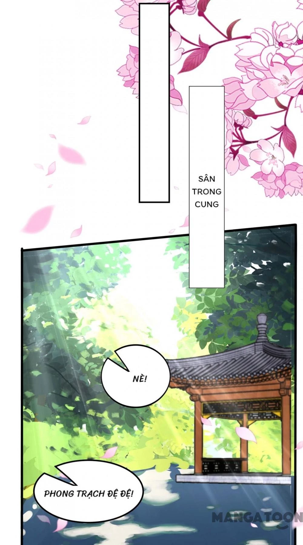 Phúc Hắc Vương Gia Đừng Làm Loạn Chapter 208 - 8