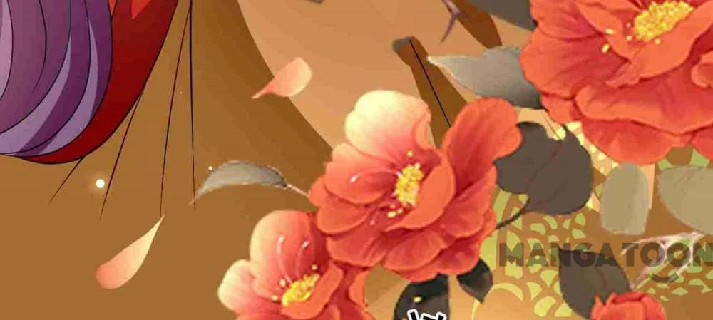 Phúc Hắc Vương Gia Đừng Làm Loạn Chapter 209 - 11