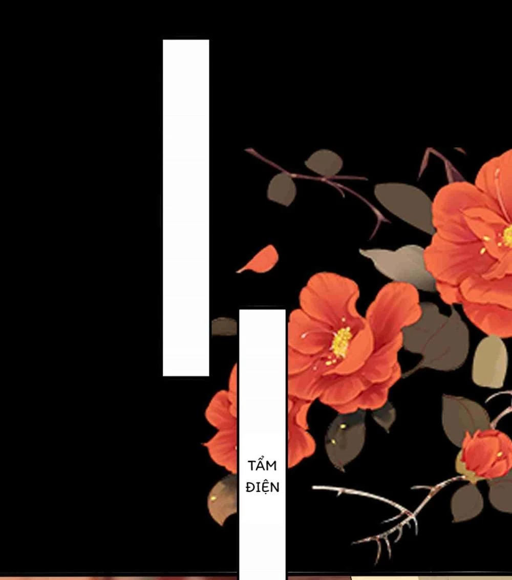 Phúc Hắc Vương Gia Đừng Làm Loạn Chapter 211 - 11