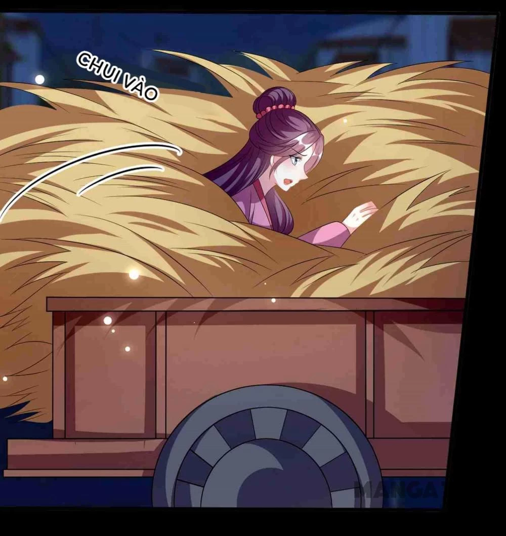 Phúc Hắc Vương Gia Đừng Làm Loạn Chapter 217 - 15