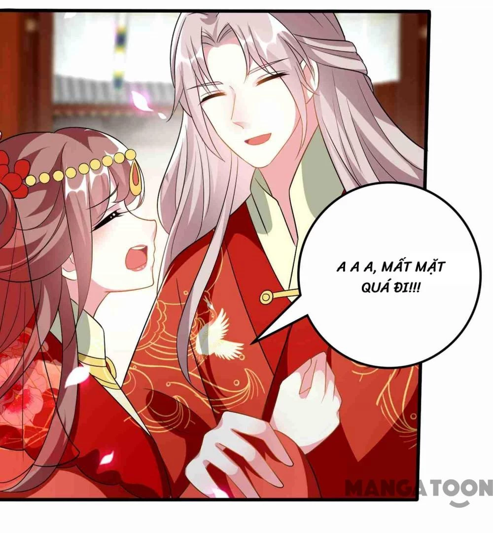 Phúc Hắc Vương Gia Đừng Làm Loạn Chapter 221 - 31