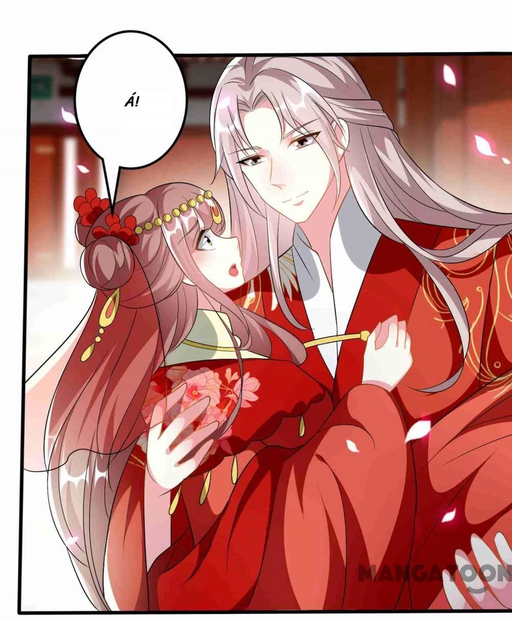 Phúc Hắc Vương Gia Đừng Làm Loạn Chapter 221 - 32