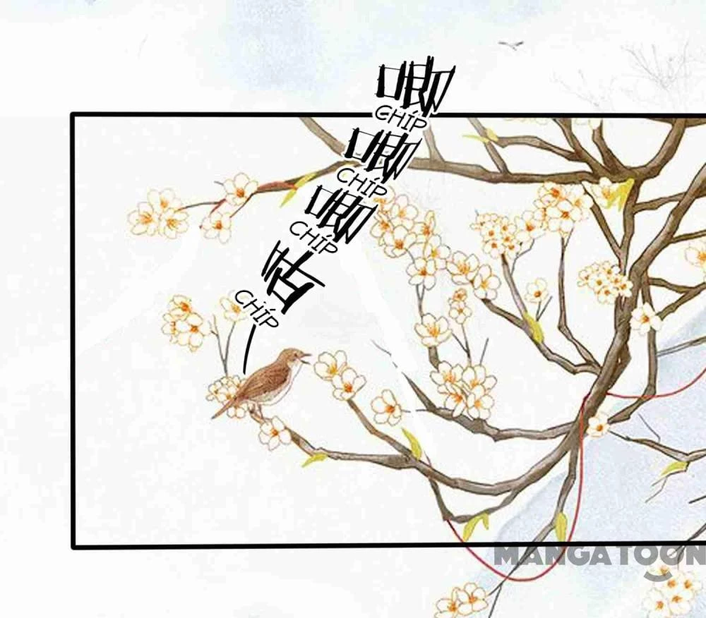 Phúc Hắc Vương Gia Đừng Làm Loạn Chapter 222 - 2