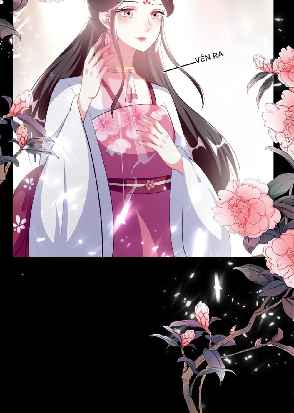 Phúc Hắc Vương Gia Đừng Làm Loạn Chapter 256 - 29