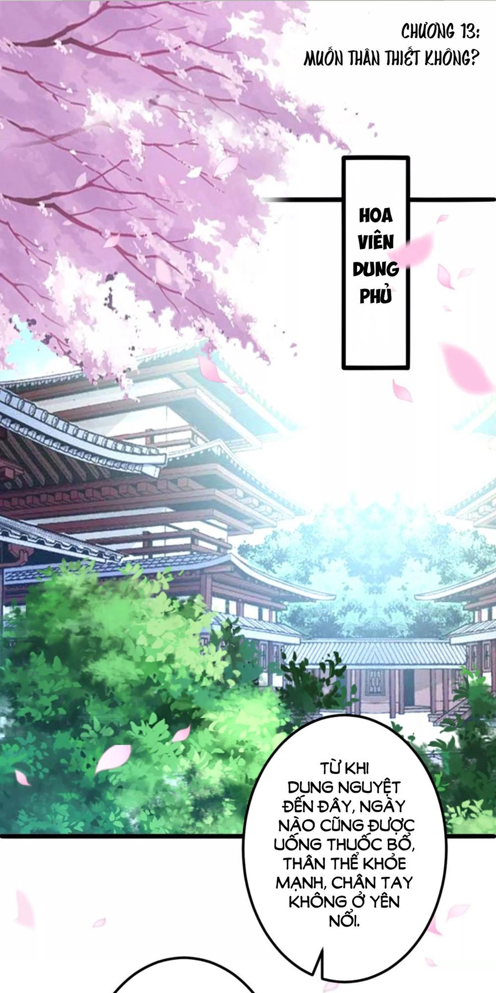 Phúc Hắc Vương Gia Đừng Làm Loạn Chapter 13 - 2