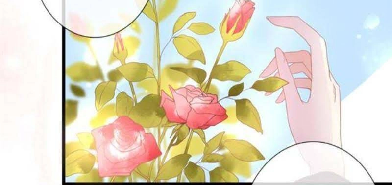 Ở Lại Thế Kỷ Này Chapter 54 - 11