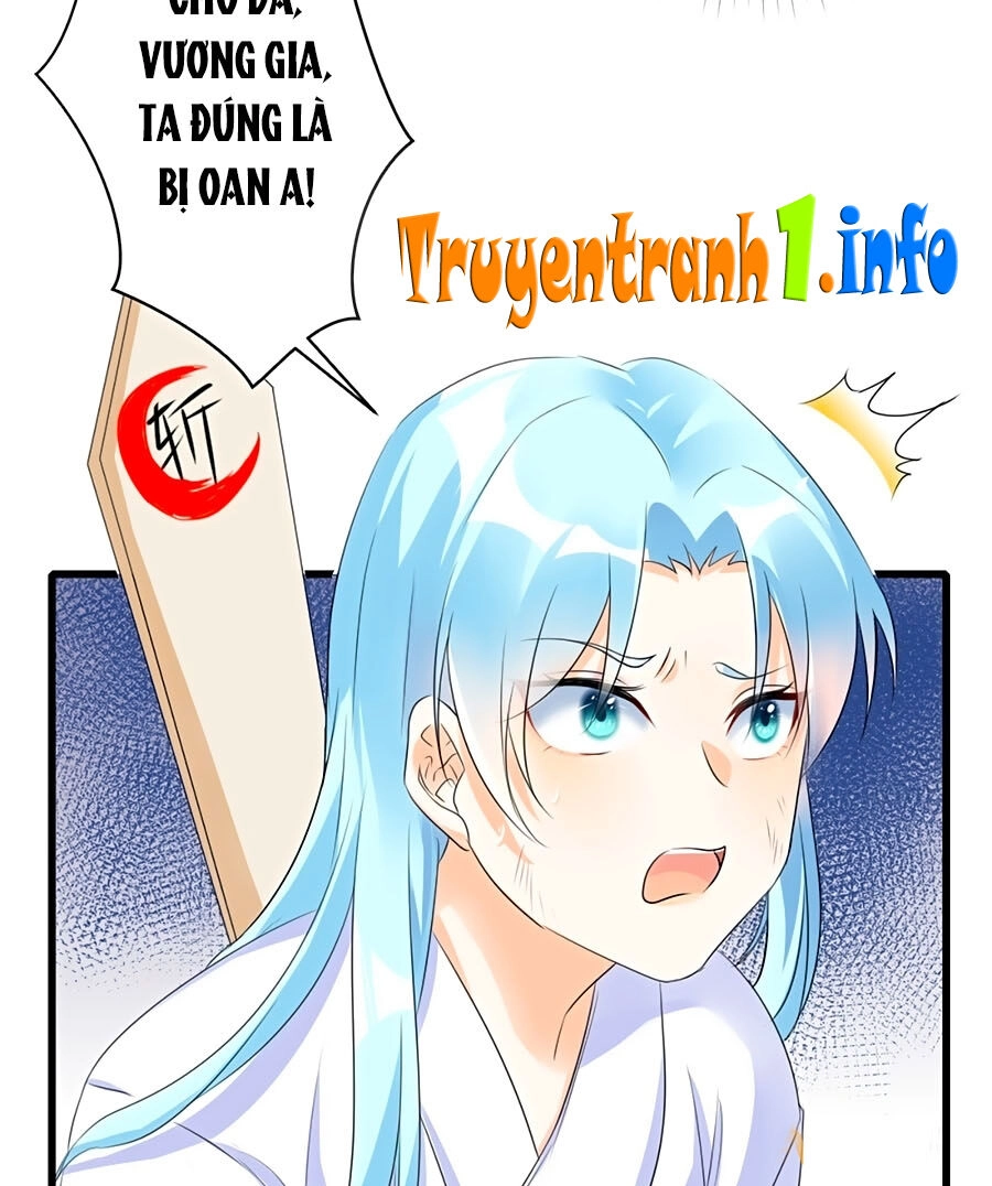 Phượng Quy Triều: Lãnh Vương Thịnh Sủng Pháp Y Phi Chapter 1 - 22