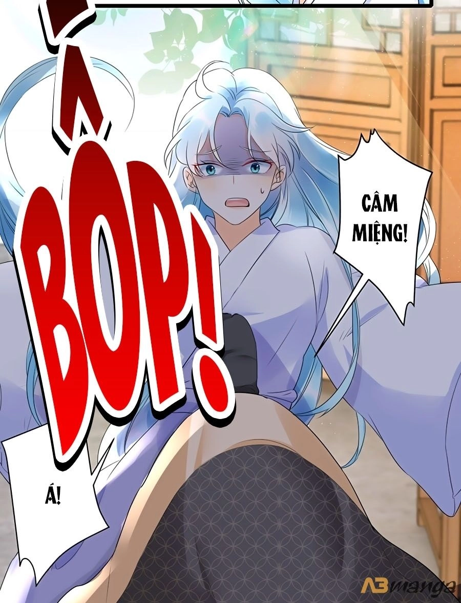 Phượng Quy Triều: Lãnh Vương Thịnh Sủng Pháp Y Phi Chapter 3 - 6