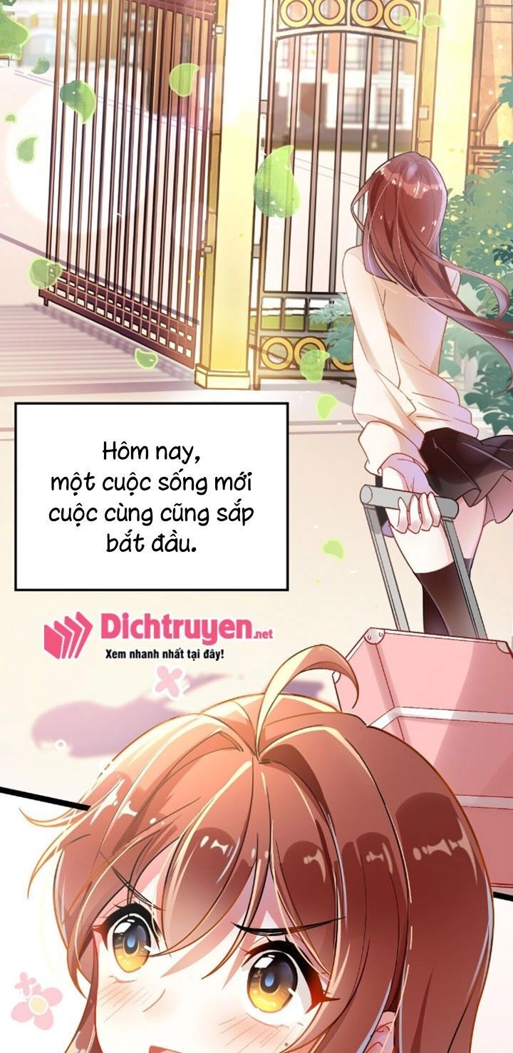 Em Là Bạc Hà Mèo Của Tôi Chapter 1 - 9