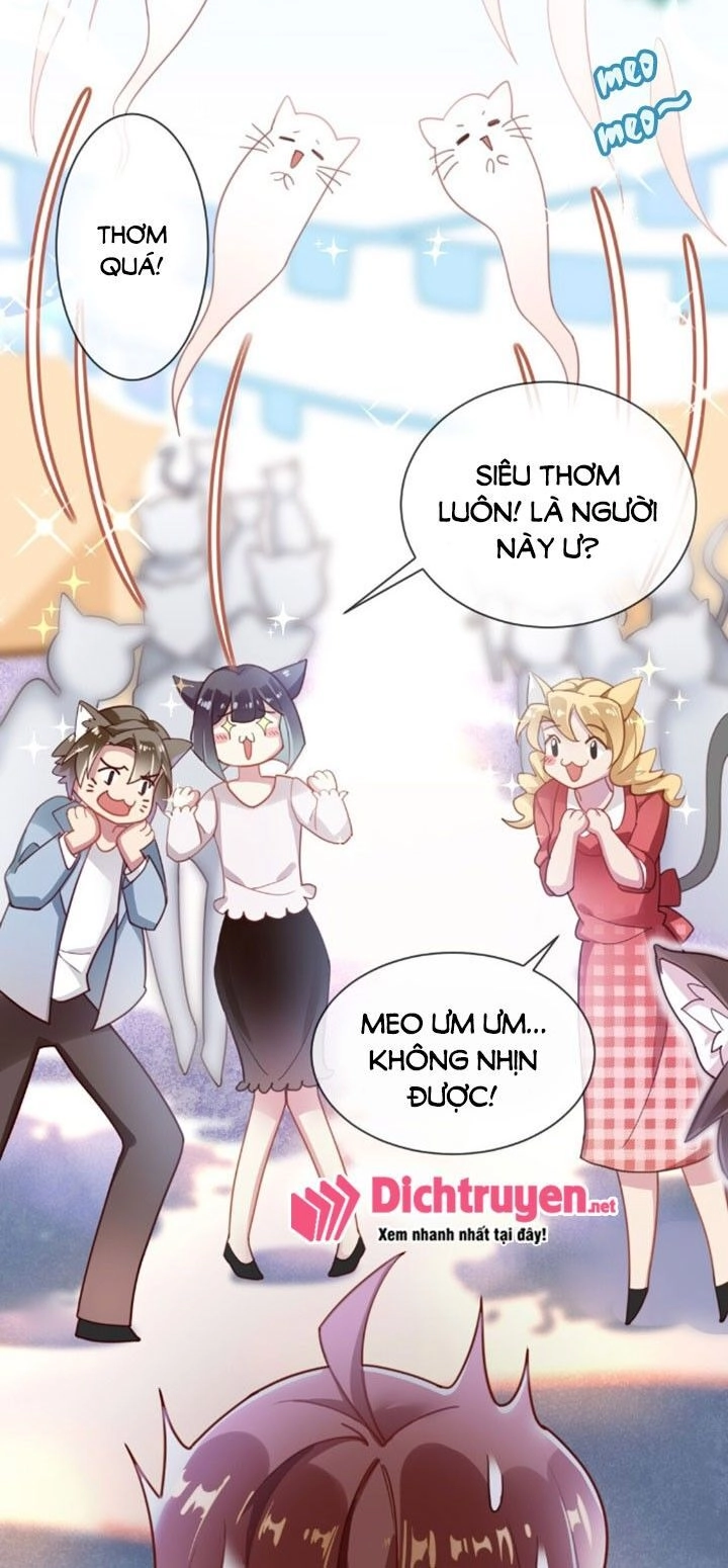 Em Là Bạc Hà Mèo Của Tôi Chapter 1 - 19