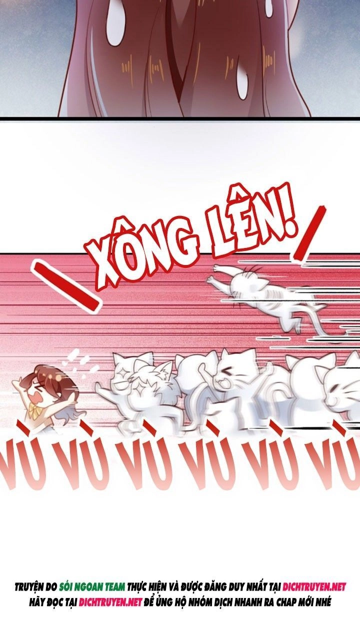 Em Là Bạc Hà Mèo Của Tôi Chapter 1 - 20