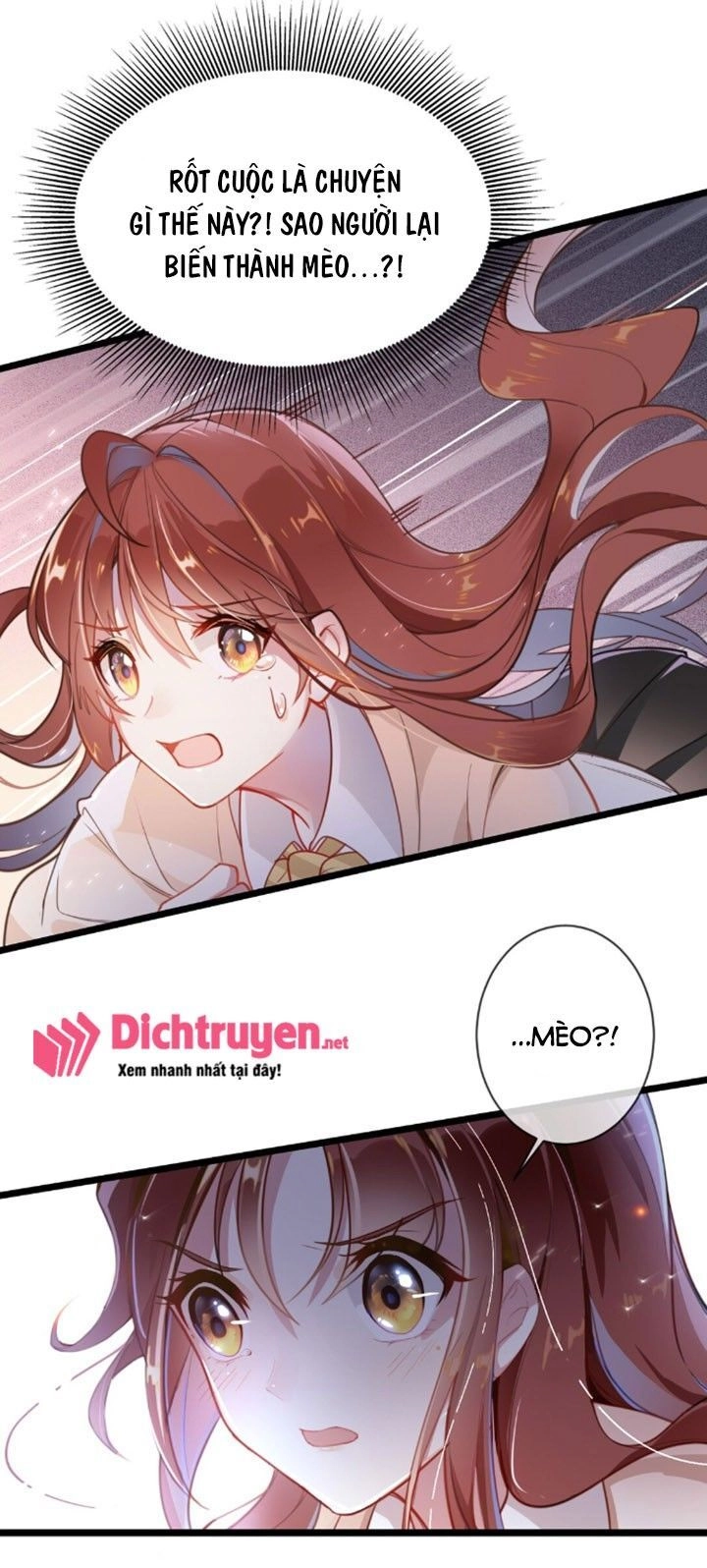 Em Là Bạc Hà Mèo Của Tôi Chapter 1 - 21