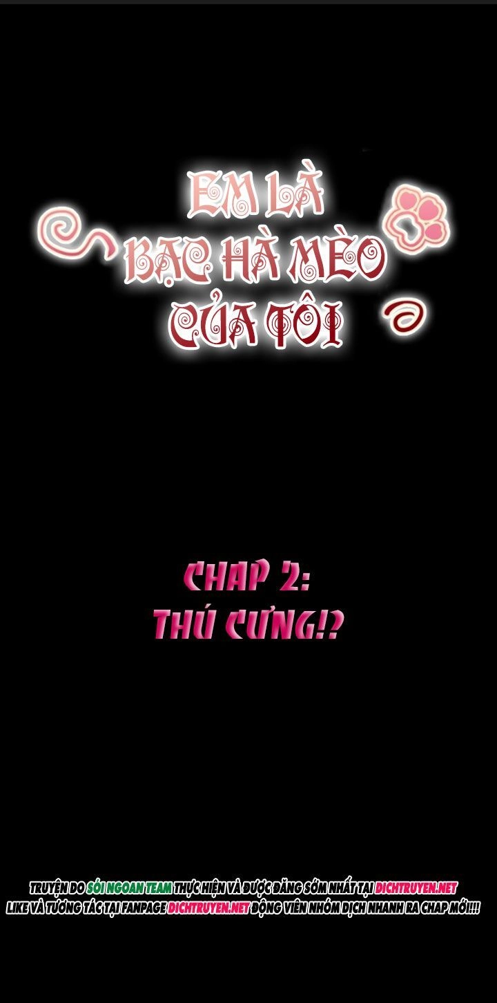 Em Là Bạc Hà Mèo Của Tôi Chapter 2 - 3