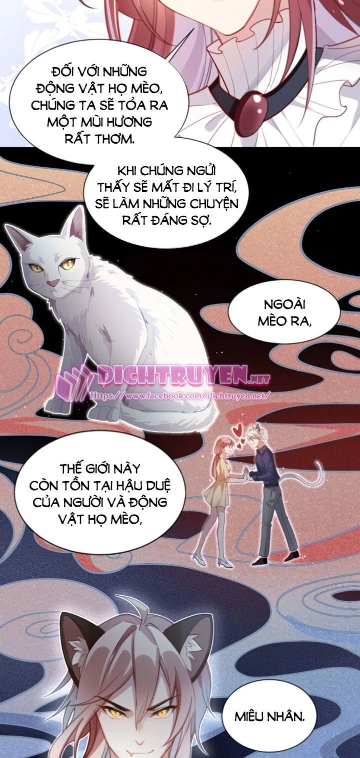 Em Là Bạc Hà Mèo Của Tôi Chapter 2 - 5