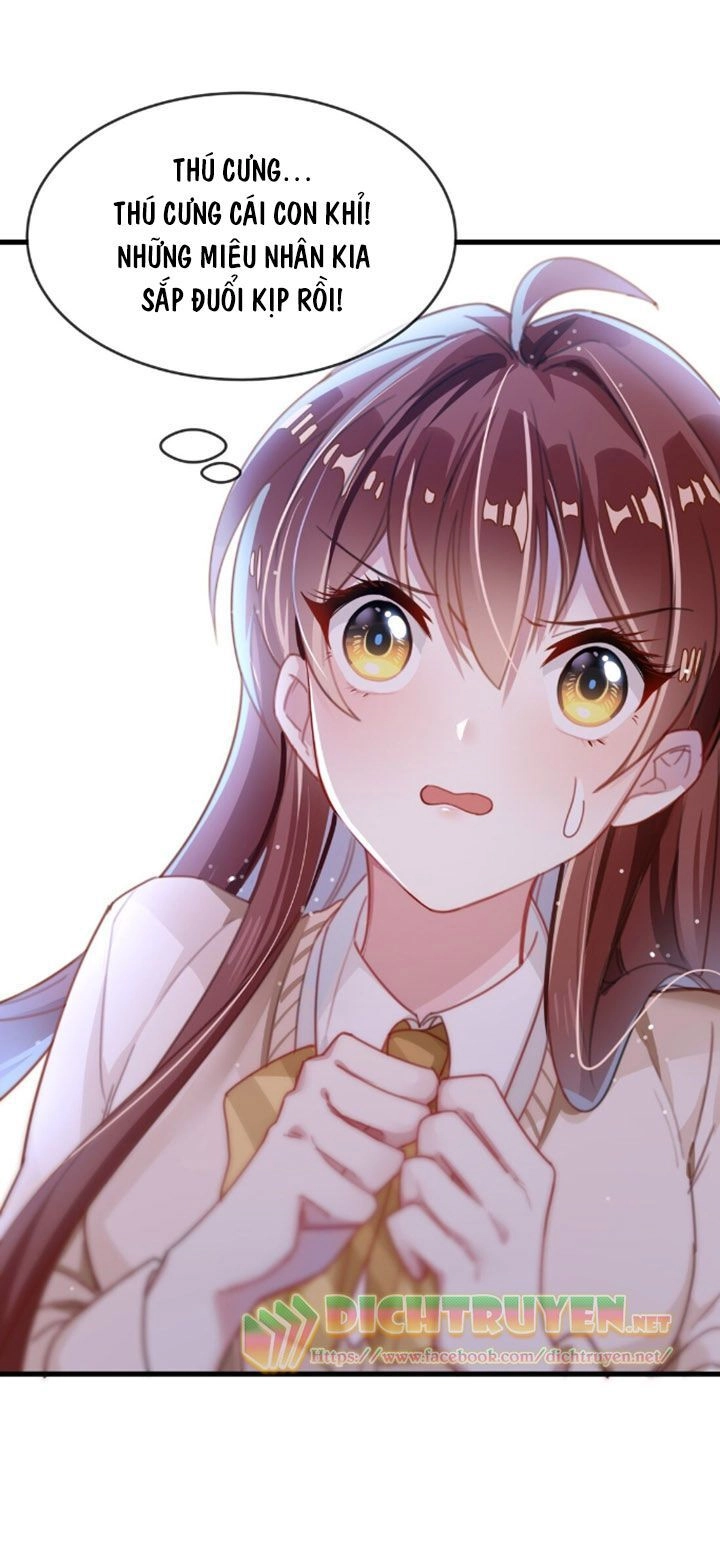 Em Là Bạc Hà Mèo Của Tôi Chapter 3 - 2