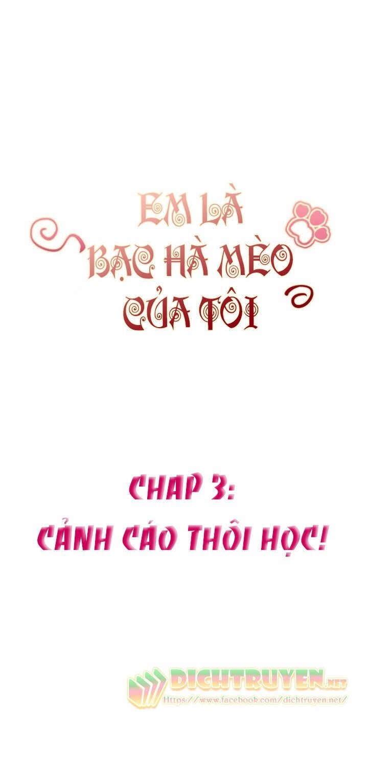 Em Là Bạc Hà Mèo Của Tôi Chapter 3 - 3
