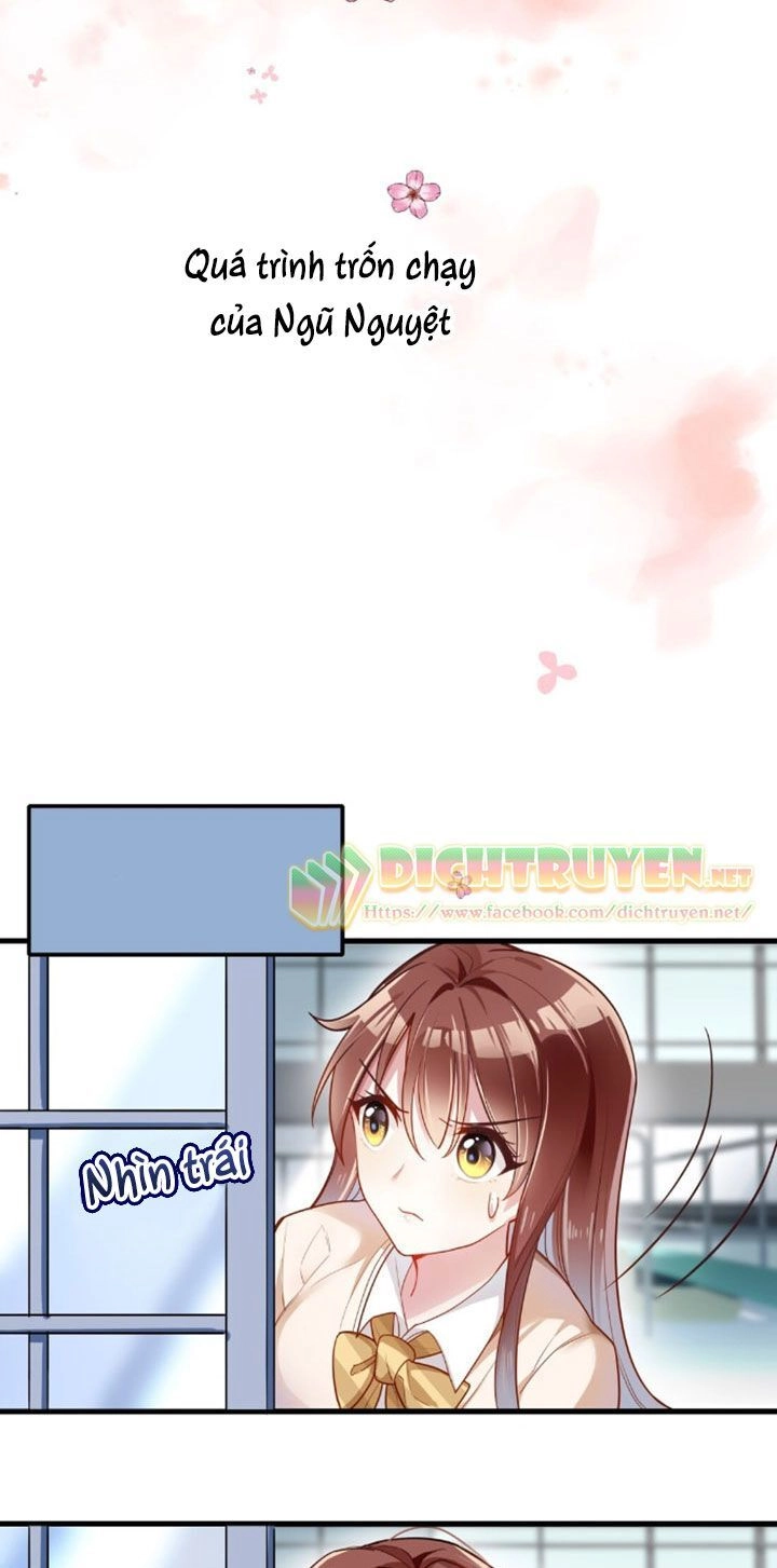 Em Là Bạc Hà Mèo Của Tôi Chapter 3 - 13