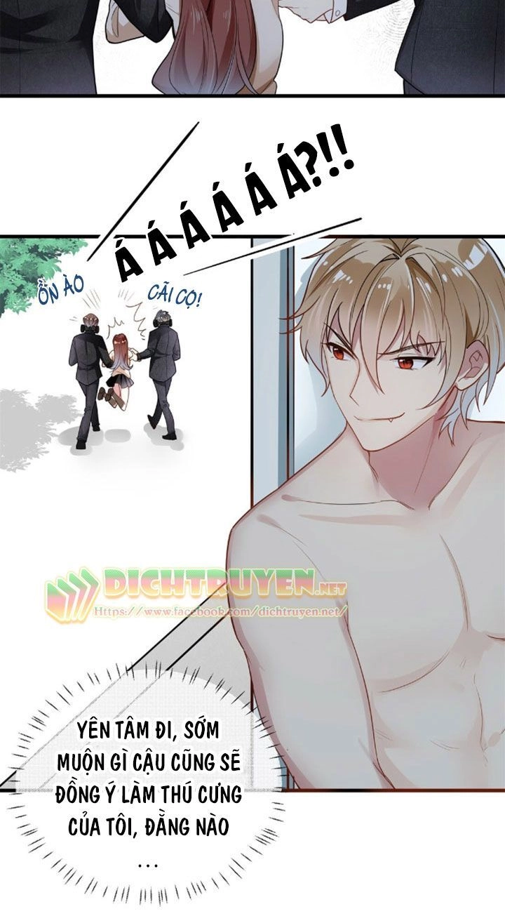 Em Là Bạc Hà Mèo Của Tôi Chapter 3 - 17