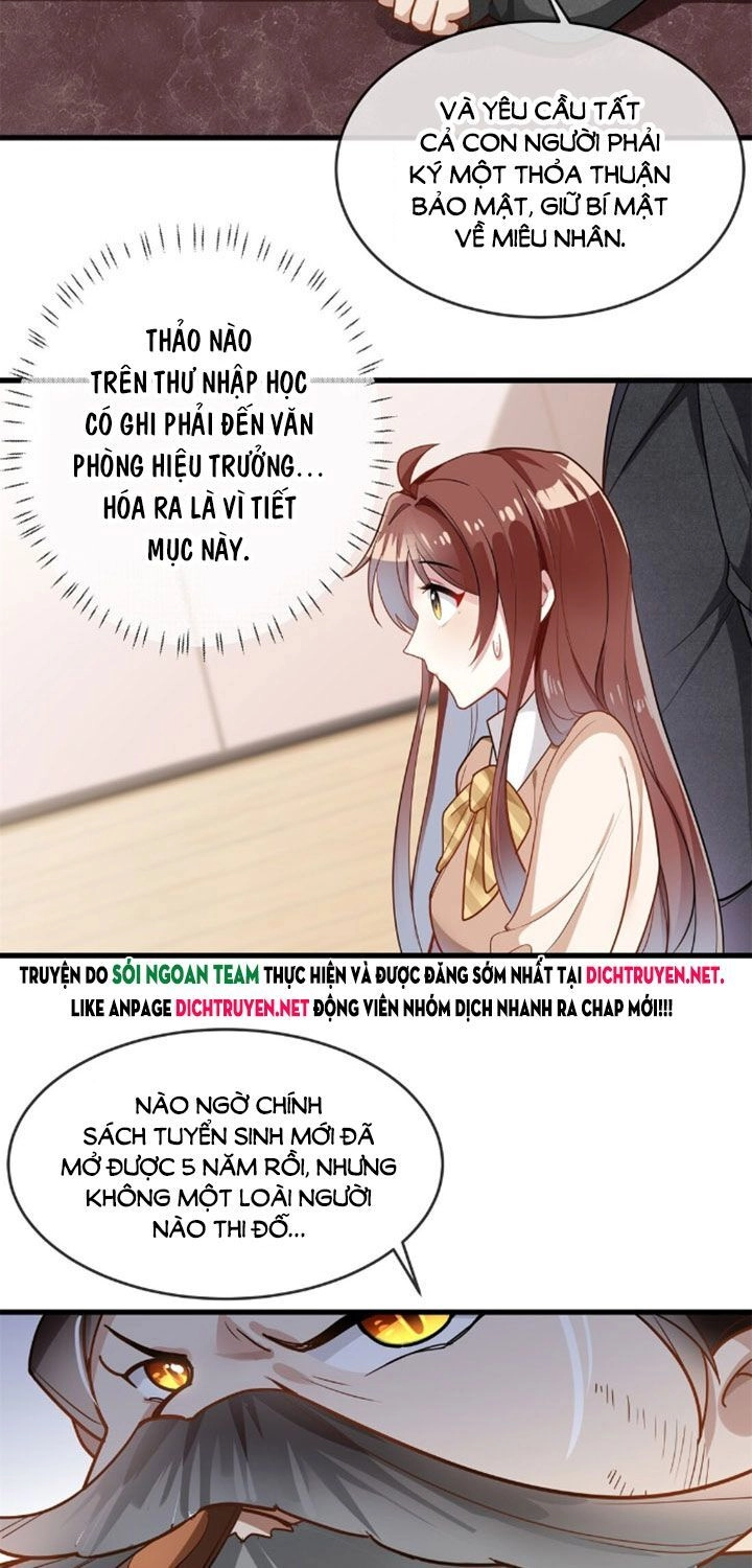 Em Là Bạc Hà Mèo Của Tôi Chapter 3 - 24