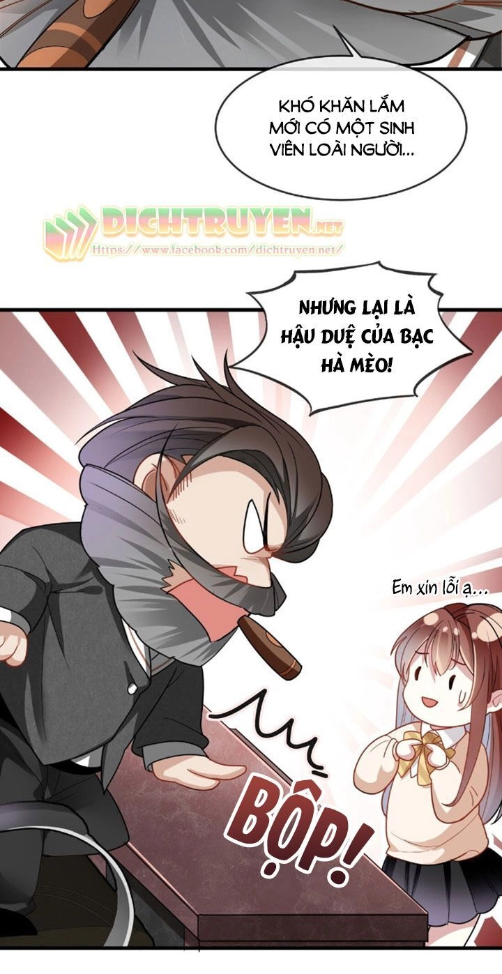 Em Là Bạc Hà Mèo Của Tôi Chapter 3 - 25