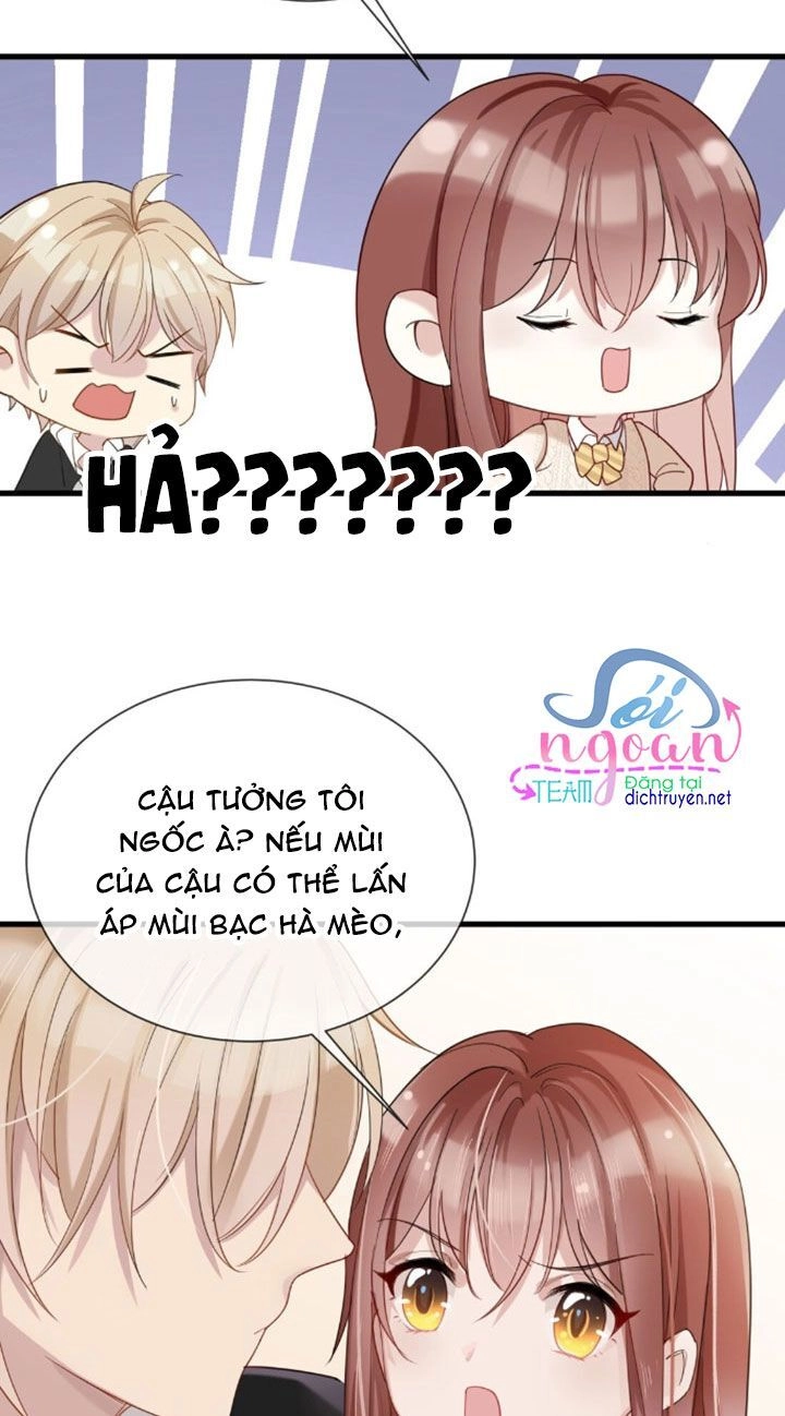 Em Là Bạc Hà Mèo Của Tôi Chapter 5 - 6