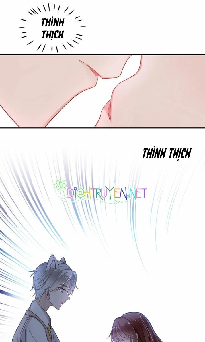 Em Là Bạc Hà Mèo Của Tôi Chapter 7 - 16