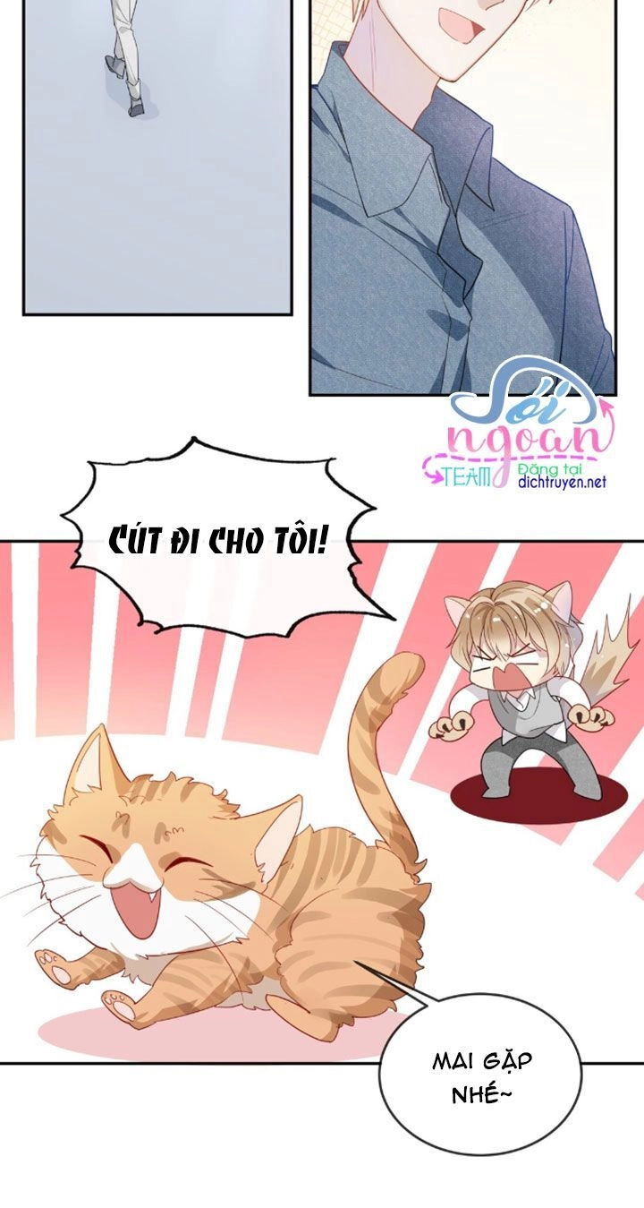 Em Là Bạc Hà Mèo Của Tôi Chapter 8 - 21