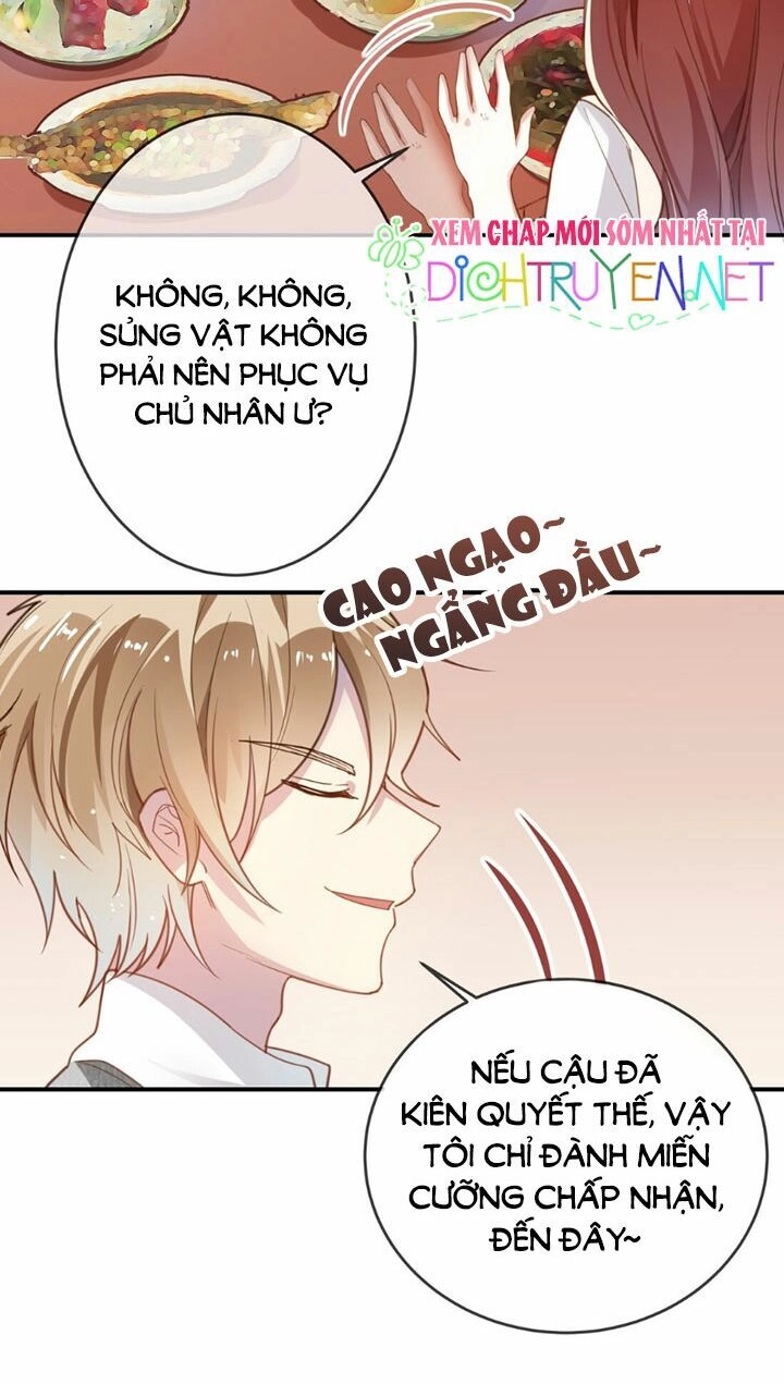 Em Là Bạc Hà Mèo Của Tôi Chapter 12 - 16