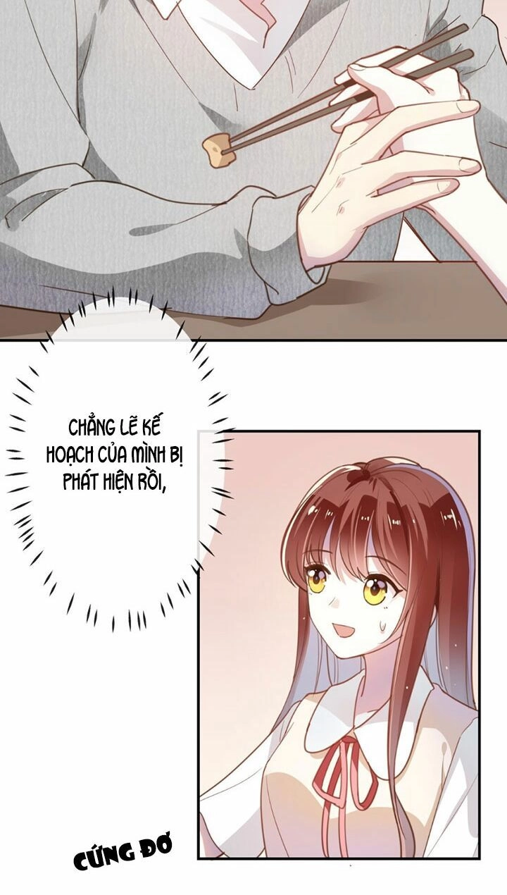 Em Là Bạc Hà Mèo Của Tôi Chapter 12 - 19