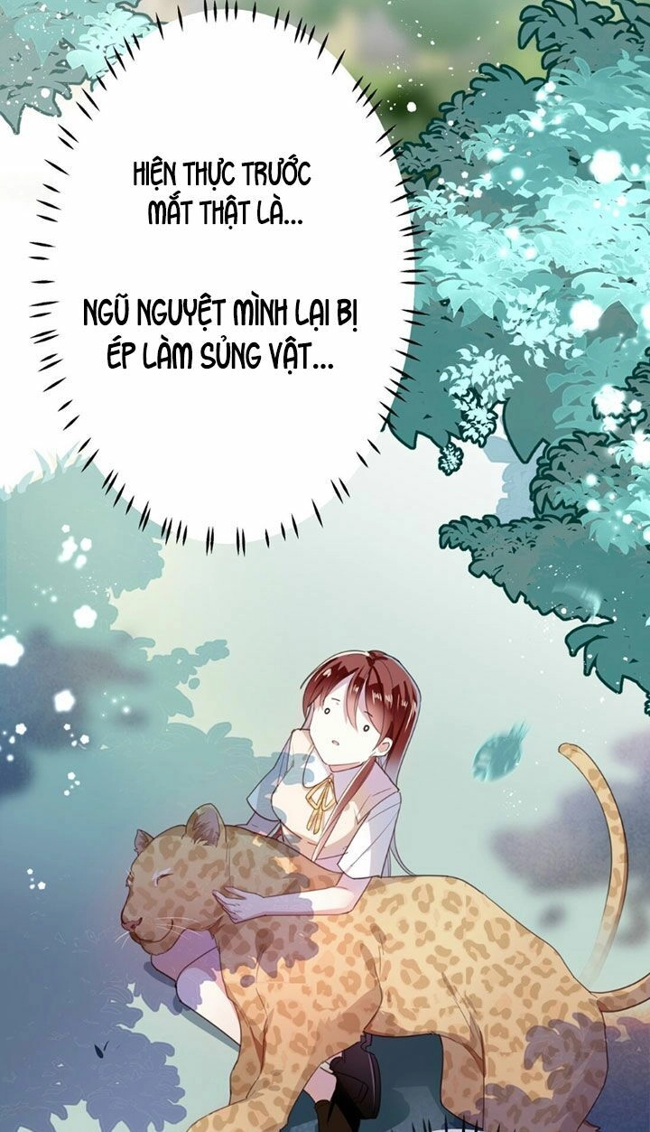 Em Là Bạc Hà Mèo Của Tôi Chapter 15 - 9