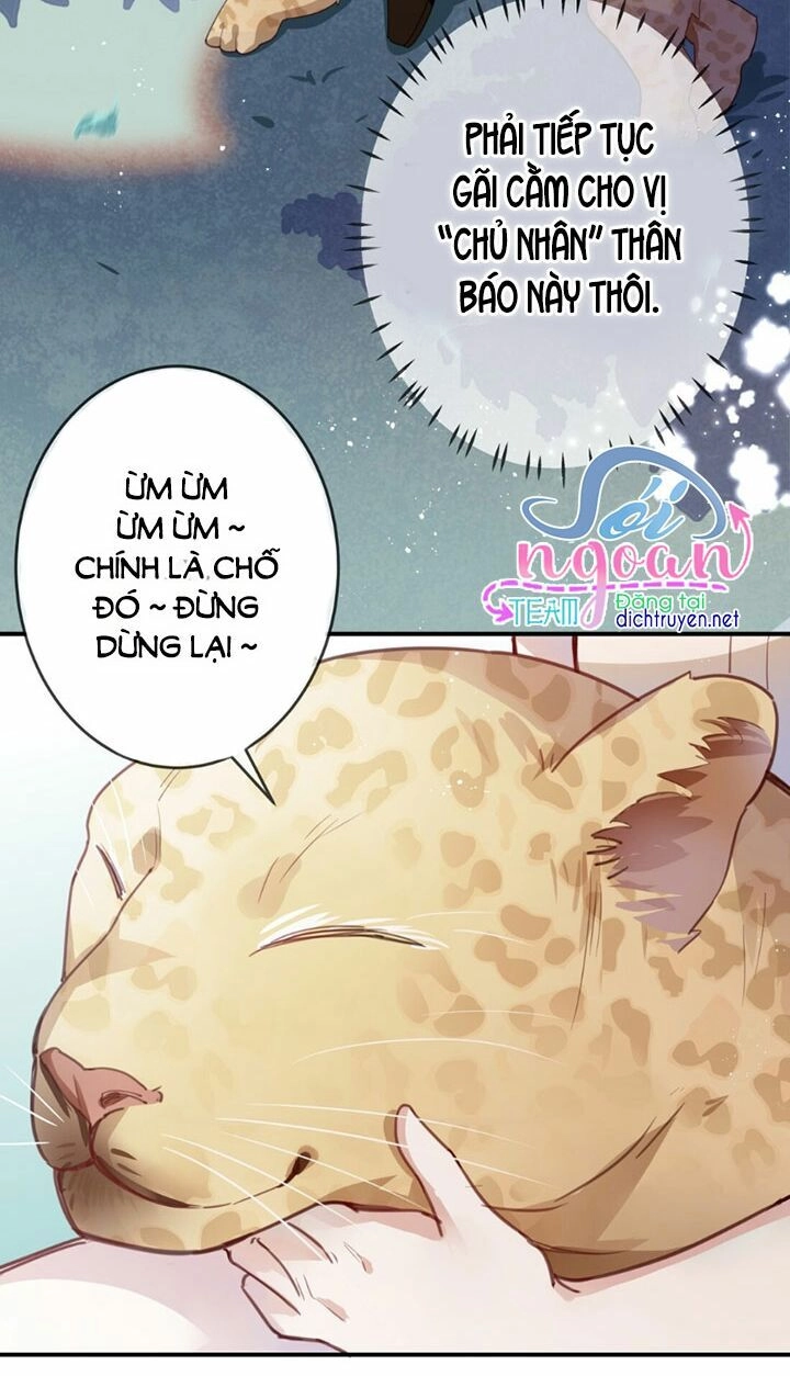 Em Là Bạc Hà Mèo Của Tôi Chapter 15 - 10