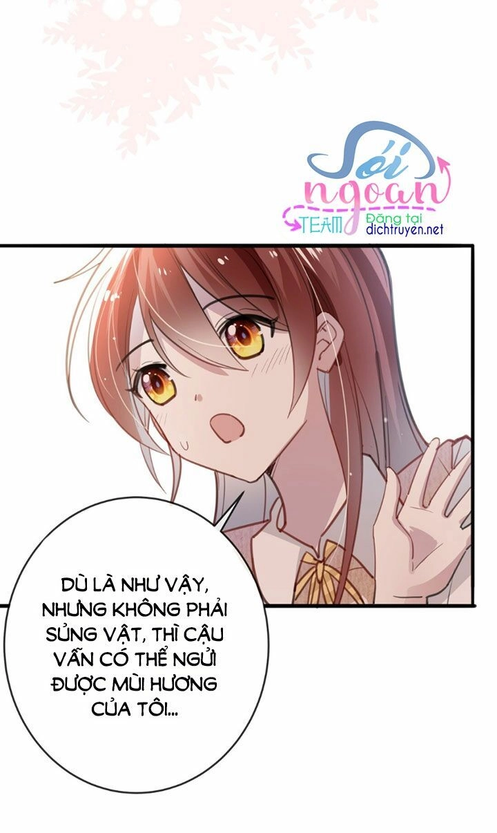 Em Là Bạc Hà Mèo Của Tôi Chapter 15 - 19