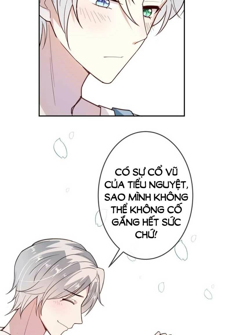 Em Là Bạc Hà Mèo Của Tôi Chapter 17 - 33