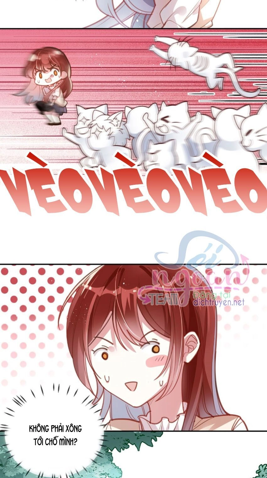 Em Là Bạc Hà Mèo Của Tôi Chapter 20 - 4