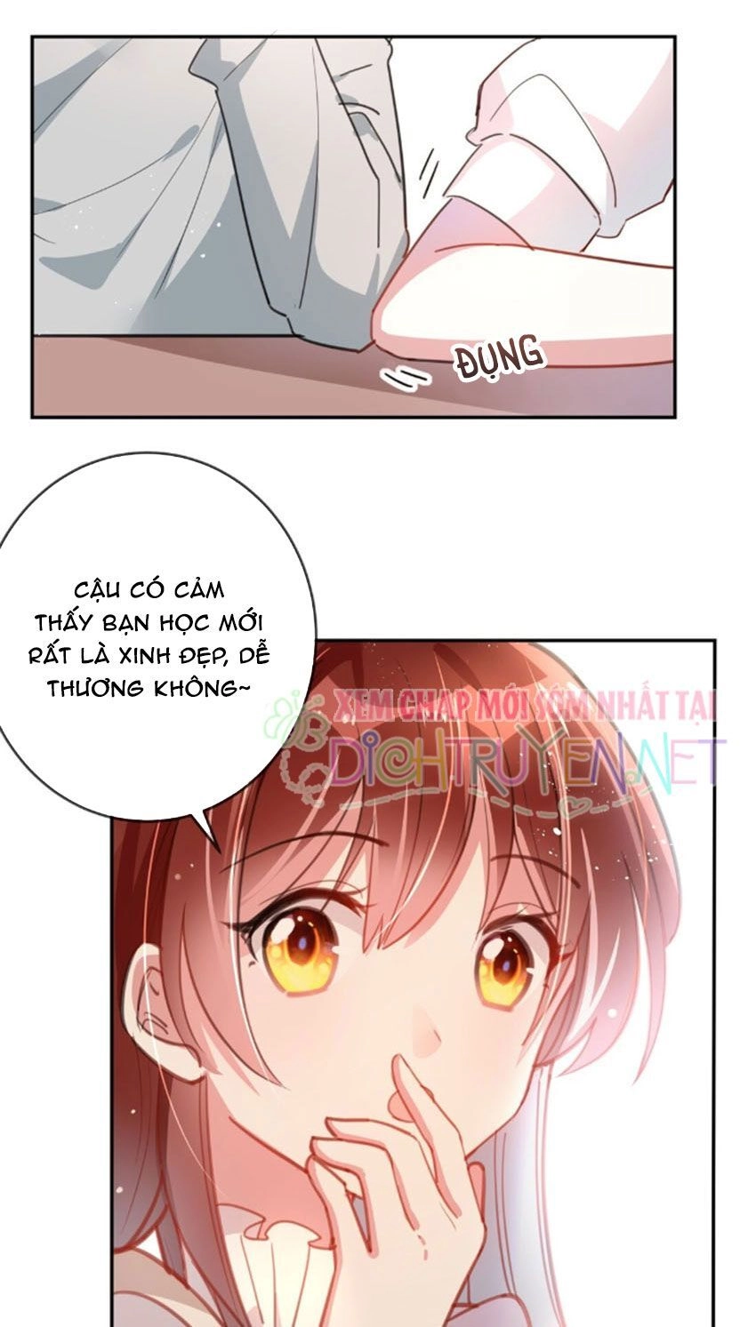 Em Là Bạc Hà Mèo Của Tôi Chapter 20 - 19