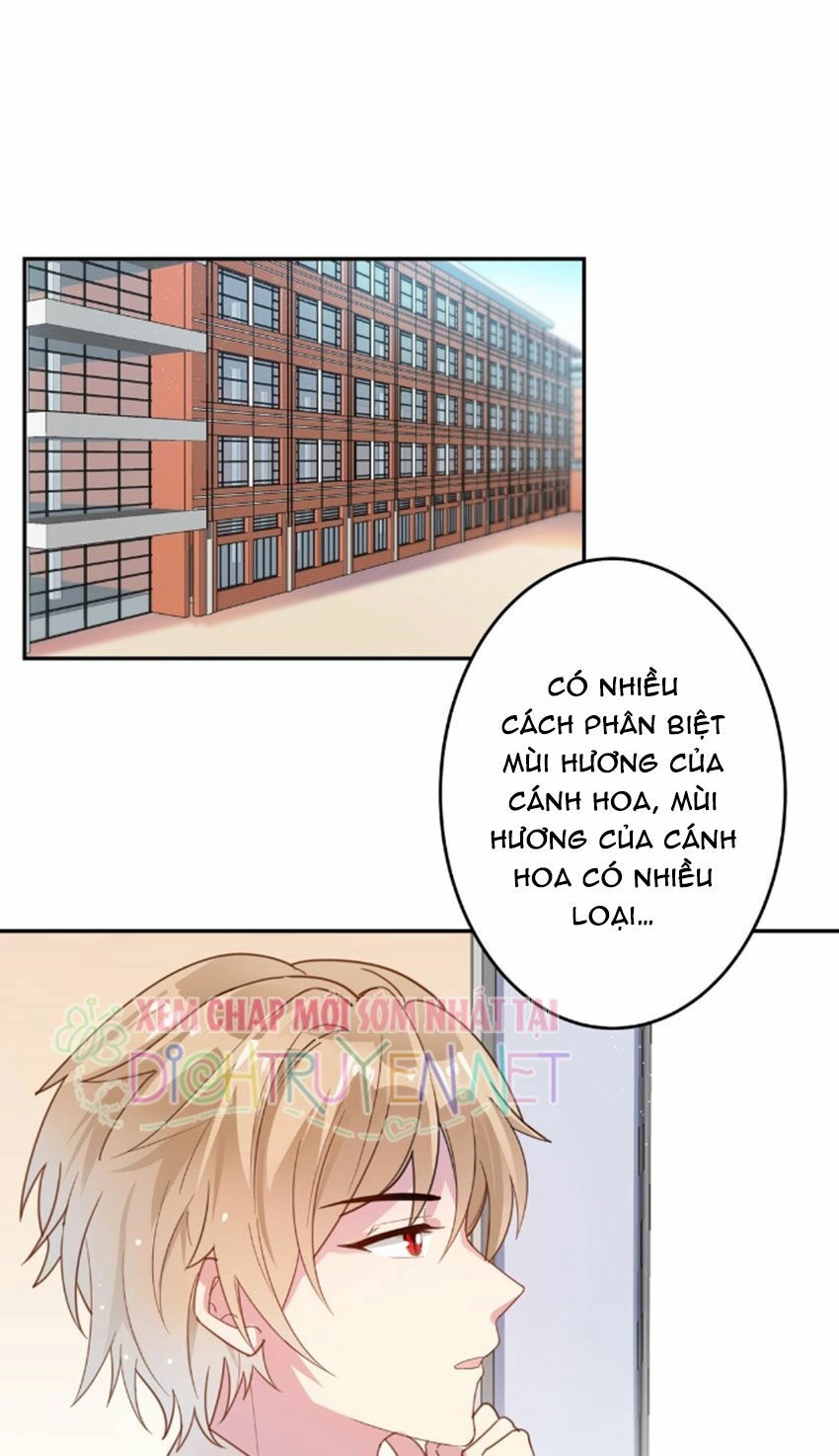 Em Là Bạc Hà Mèo Của Tôi Chapter 21 - 2