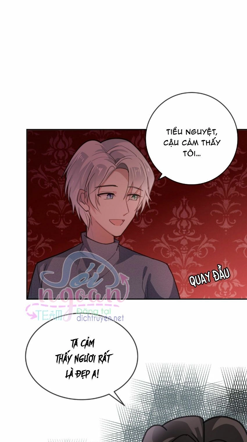 Em Là Bạc Hà Mèo Của Tôi Chapter 21 - 29