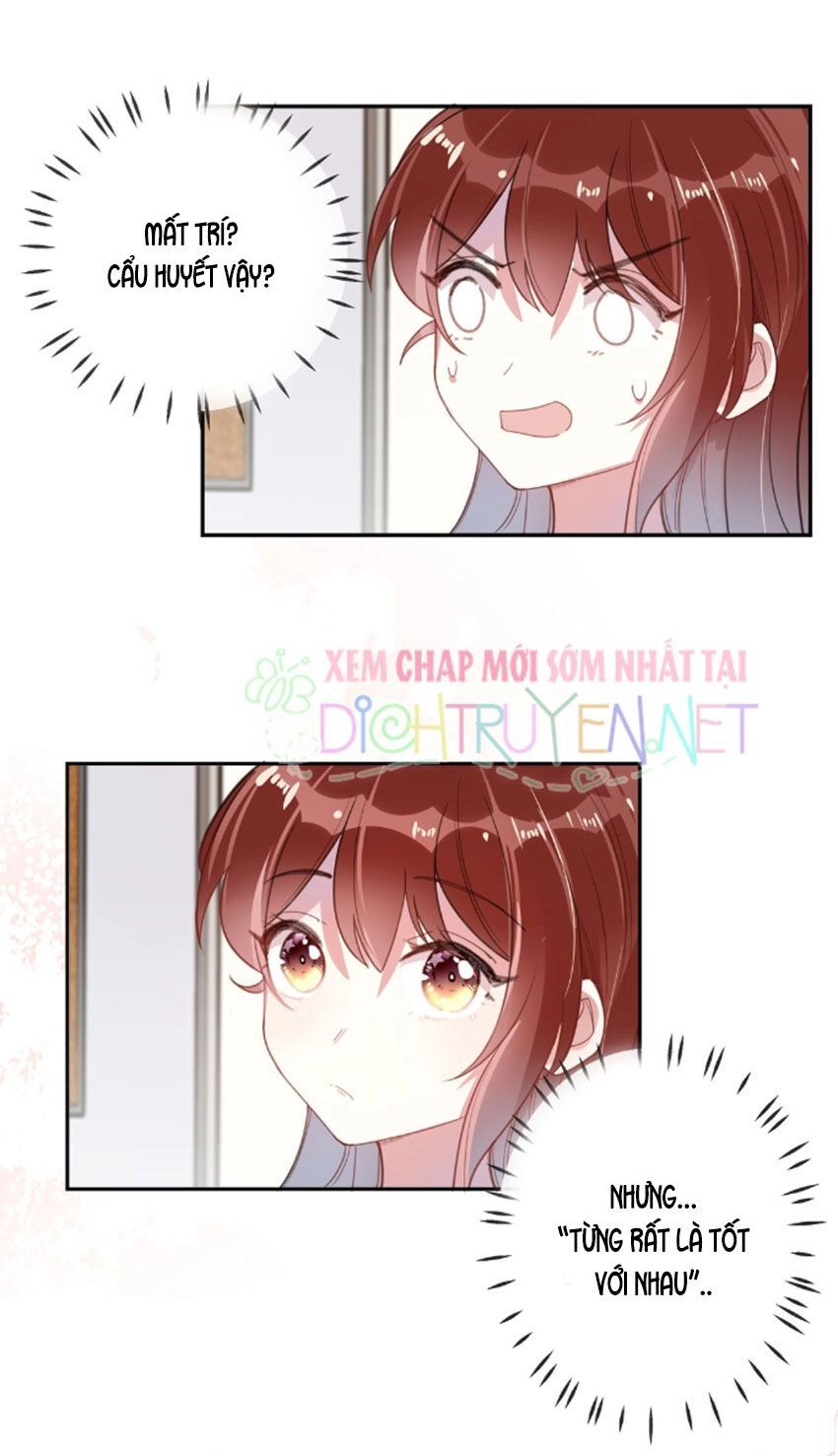 Em Là Bạc Hà Mèo Của Tôi Chapter 24 - 11