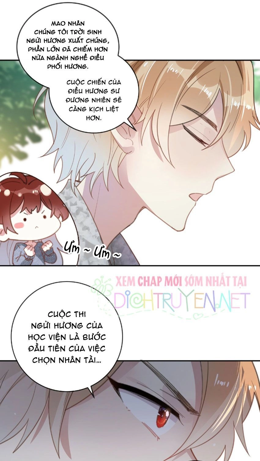 Em Là Bạc Hà Mèo Của Tôi Chapter 24 - 26