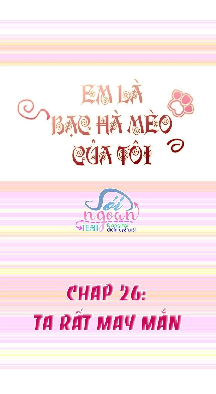 Em Là Bạc Hà Mèo Của Tôi Chapter 26 - 3
