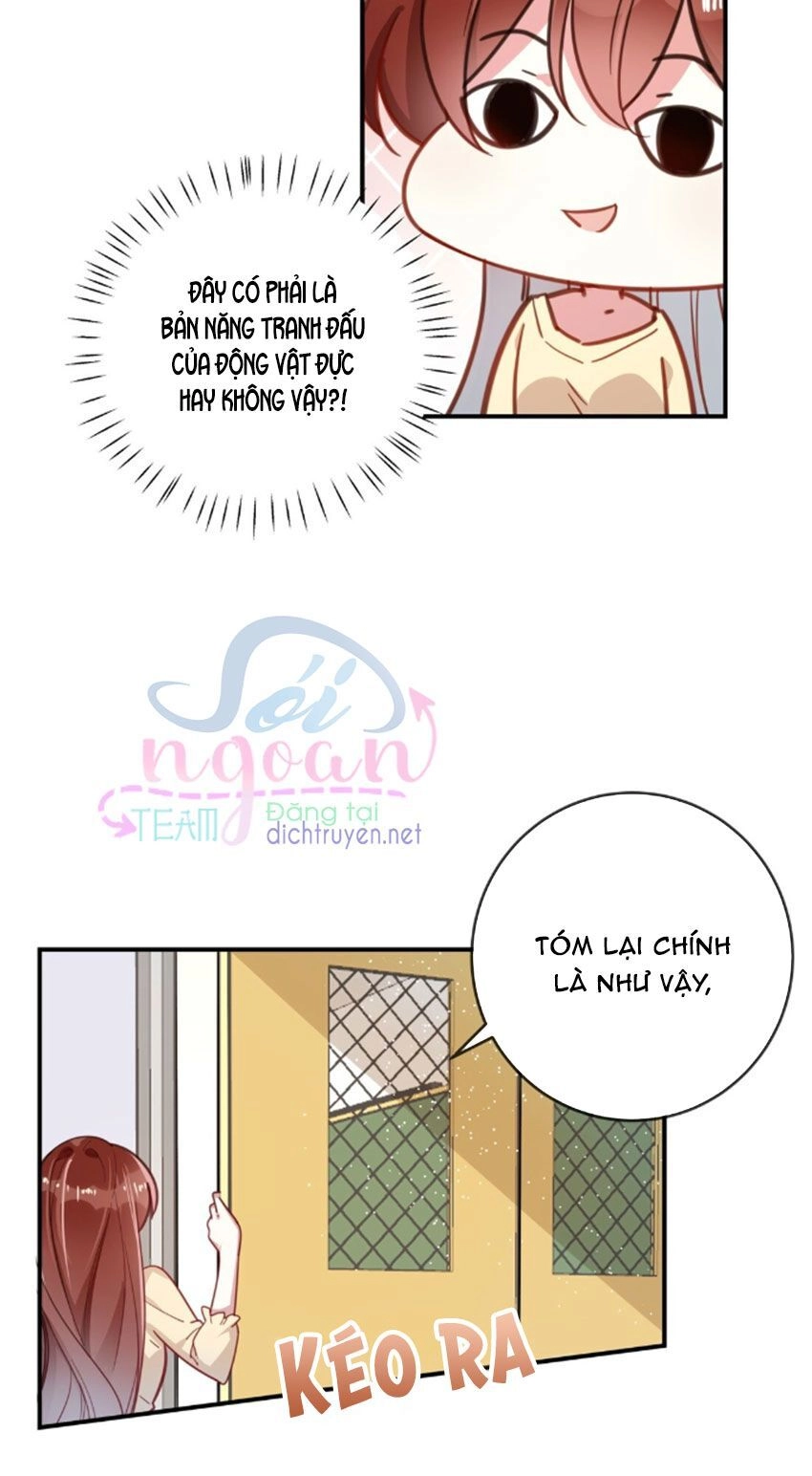 Em Là Bạc Hà Mèo Của Tôi Chapter 27 - 6