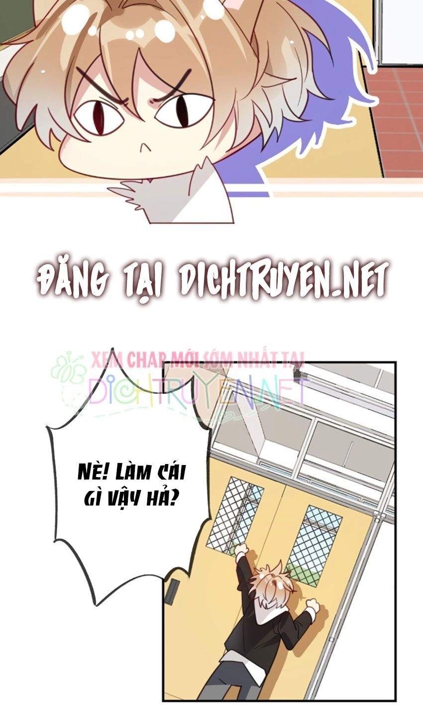 Em Là Bạc Hà Mèo Của Tôi Chapter 27 - 9