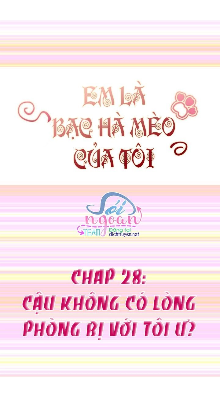 Em Là Bạc Hà Mèo Của Tôi Chapter 28 - 1