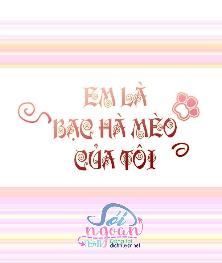 Em Là Bạc Hà Mèo Của Tôi Chapter 29 - 1