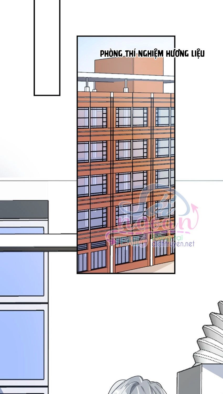 Em Là Bạc Hà Mèo Của Tôi Chapter 29 - 26
