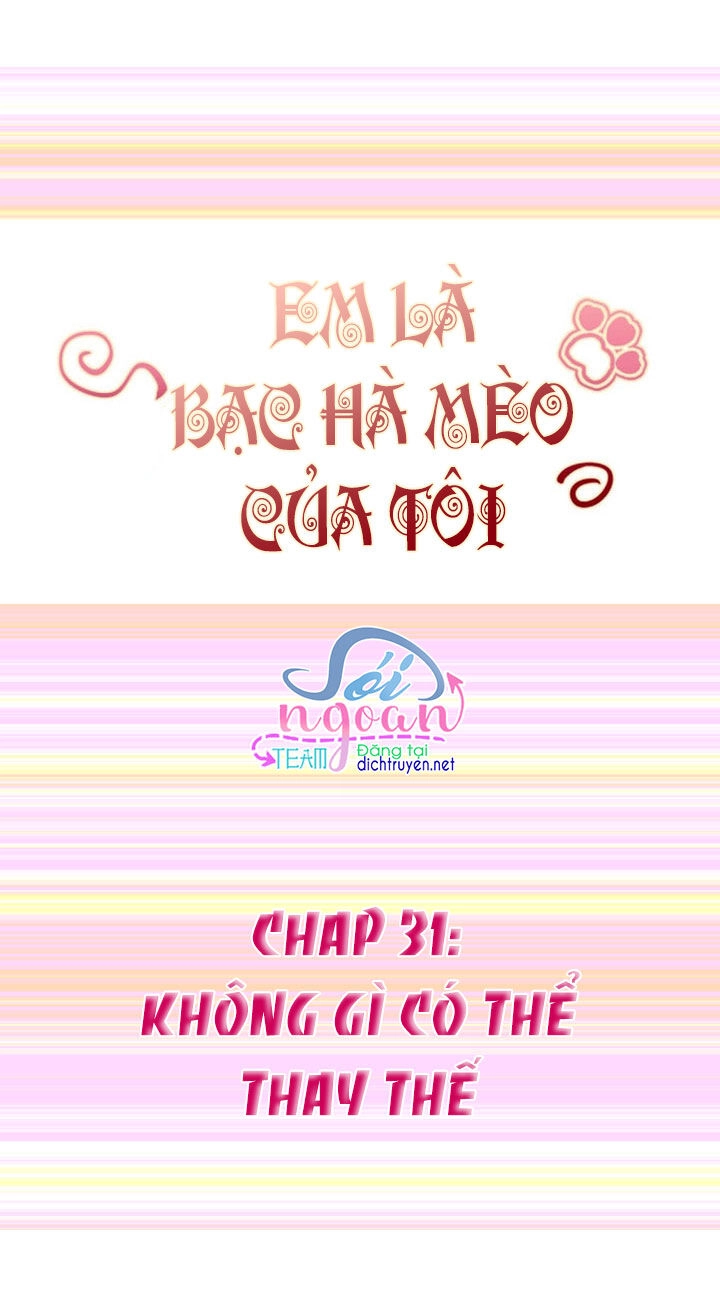 Em Là Bạc Hà Mèo Của Tôi Chapter 31 - 1