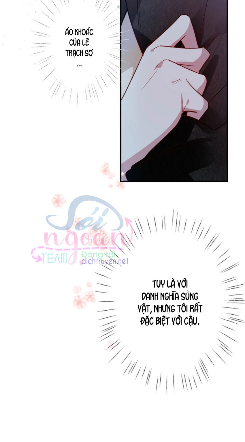 Em Là Bạc Hà Mèo Của Tôi Chapter 31 - 25